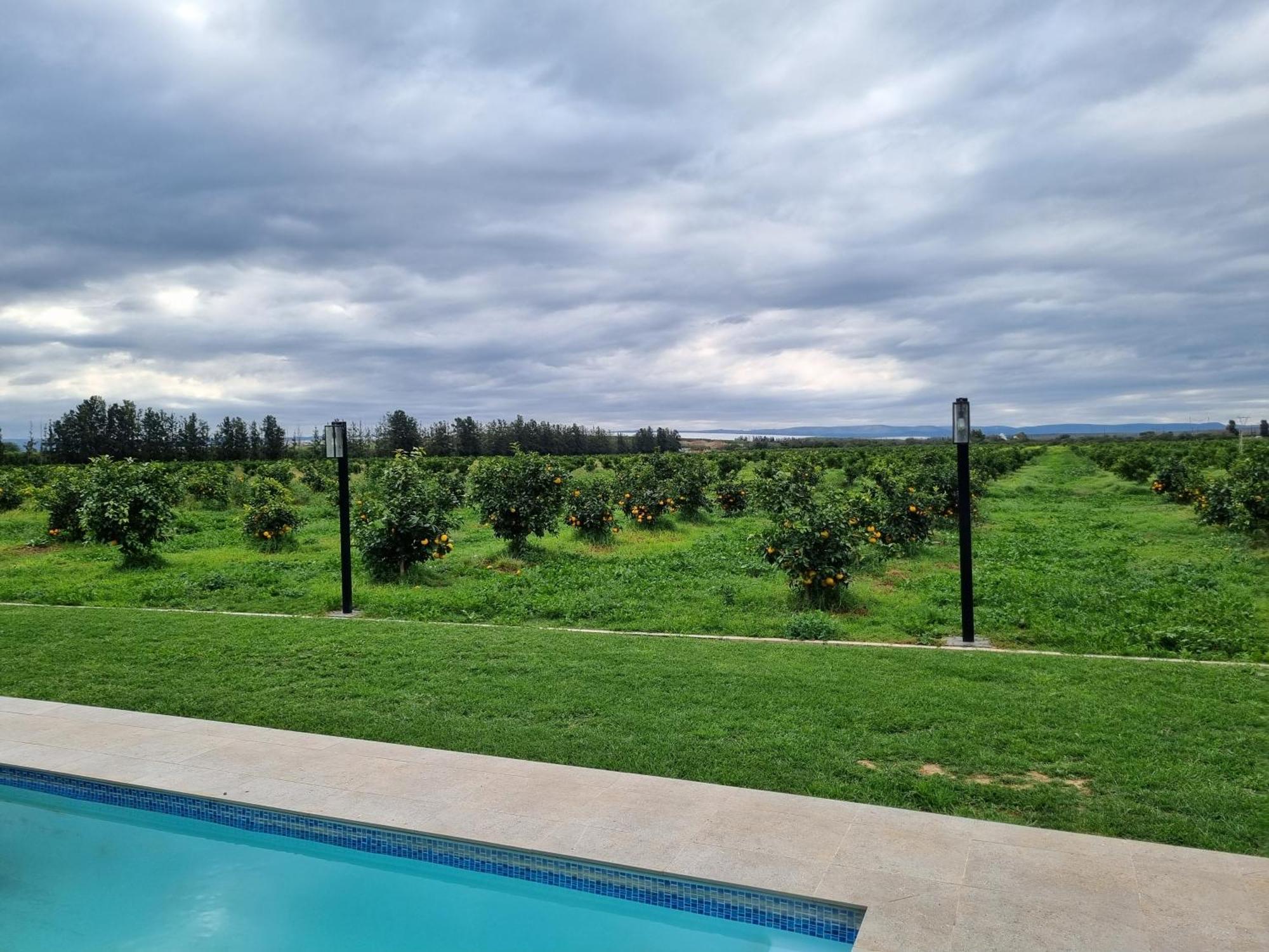 Addo Park Suma'S Rest Hotel Kültér fotó